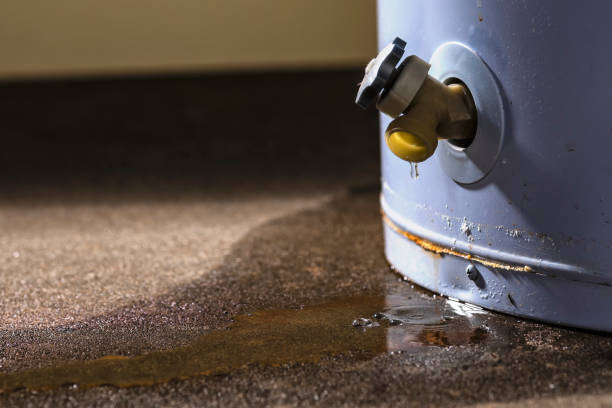 Best Water damage restoration process  in Deenwood, GA