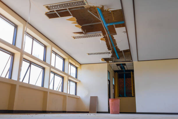 Best Water damage mitigation services  in Deenwood, GA