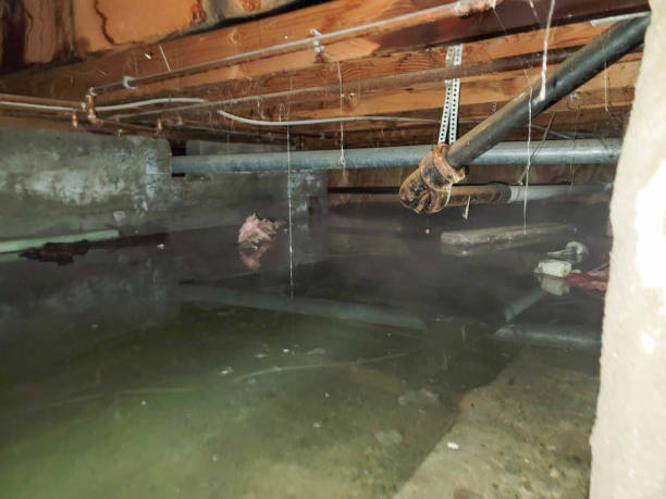 Water damage restoration process in GA