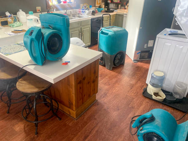 Best Residential water damage restoration  in Deenwood, GA