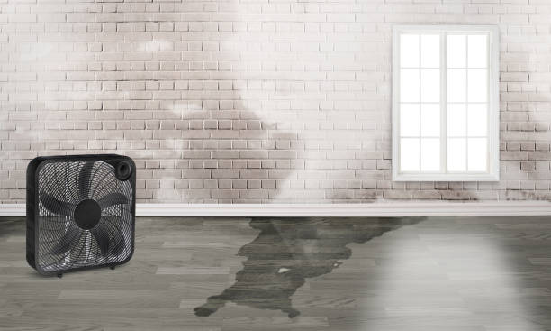 Best 24-hour water damage restoration  in Deenwood, GA