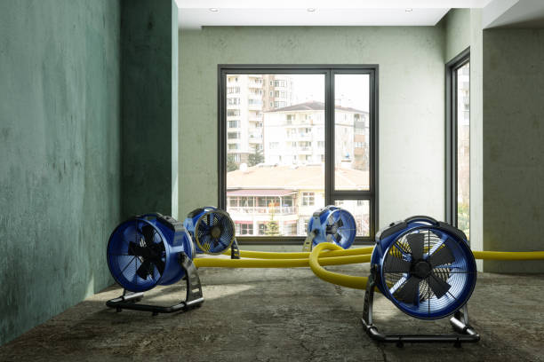 Best 24/7 water damage repair  in Deenwood, GA