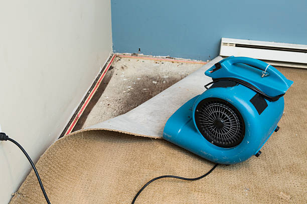 Best 24-hour water damage restoration  in Deenwood, GA